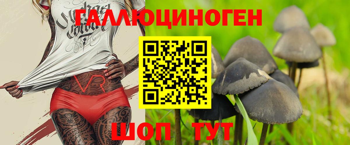 купить наркотики цена  Вход с VPN  Салават  Галлюциногенные грибы мицелий 